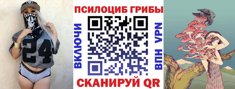 Псилоцибиновые грибы Cubensis  Судак 