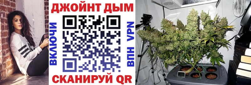 МАРИХУАНА ГИДРОПОН  Судак 